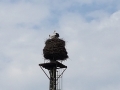 TaverneLeisnig_038