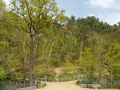 TaverneLeisnig_039