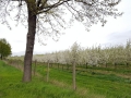 TaverneLeisnig_040