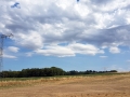 TaverneLeisnig_021
