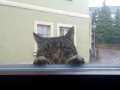 TaverneLeisnig_011