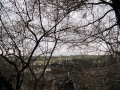 TaverneLeisnig_013