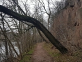 TaverneLeisnig_001