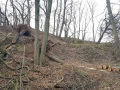 TaverneLeisnig_003