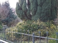TaverneLeisnig_015