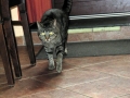 TaverneLeisnig_026