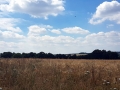 TaverneLeisnig_018
