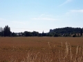 TaverneLeisnig_031