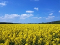 TaverneLeisnig_024