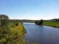 TaverneLeisnig_014