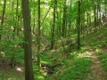 TaverneLeisnig_015