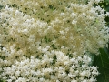 TaverneLeisnig_034