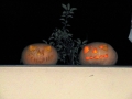 TaverneLeisnig_034
