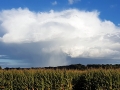 TaverneLeisnig_007