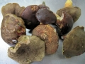 TaverneLeisnig_017