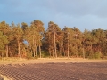 TaverneLeisnig_003