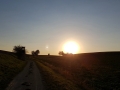 TaverneLeisnig_019