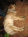 TaverneLeisnig_0023
