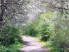 TaverneLeisnig_078