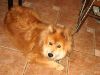 TaverneLeisnig_0028