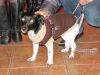 TaverneLeisnig_0130