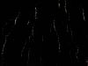 TaverneLeisnig_0175