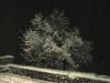 TaverneLeisnig_091