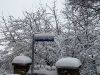 TaverneLeisnig_094