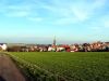 TaverneLeisnig_022