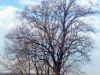 TaverneLeisnig_031