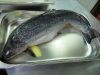 TaverneLeisnig_0033