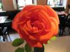 TaverneLeisnig_0087