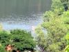 TaverneLeisnig_006