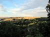 TaverneLeisnig_017