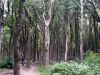 TaverneLeisnig_022