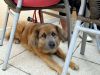 TaverneLeisnig_047