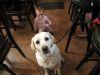 TaverneLeisnig_046