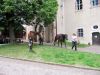 TaverneLeisnig_059