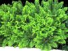 TaverneLeisnig_016
