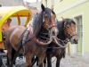 TaverneLeisnig_056
