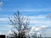 TaverneLeisnig_016
