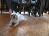 TaverneLeisnig_0029