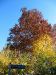 TaverneLeisnig_0001