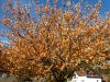 TaverneLeisnig_0005