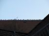 TaverneLeisnig_023