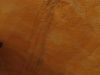 TaverneLeisnig_040-1