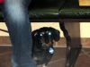 TaverneLeisnig_042-1