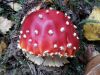 TaverneLeisnig_007