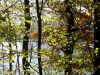 TaverneLeisnig_009