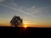 TaverneLeisnig_018